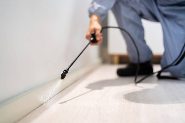 Licensed Rodent Control service in Fairfield, CA - Nex Pest Control
