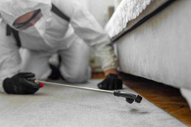 Professional Rodent Control technician working in Fairfield, CA