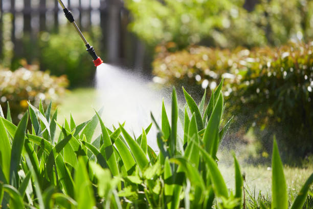 24/7 Emergency Rodent Control experts in Fairfield, CA