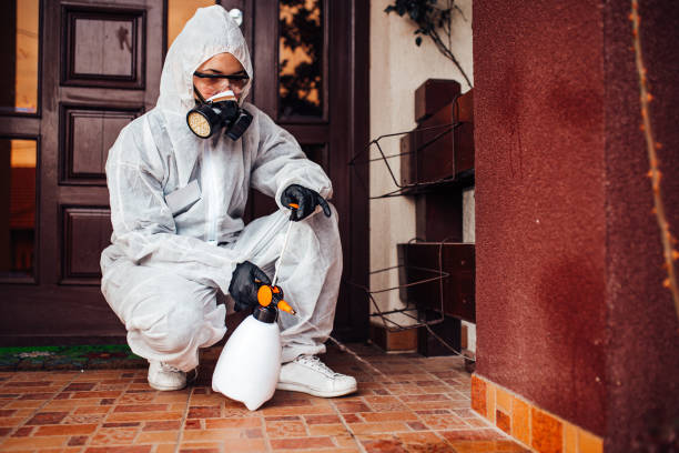 Reliable Rodent Control contractor in Fairfield, CA by Nex Pest Control