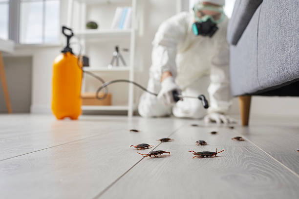 Affordable Rodent Control solutions in Fairfield, CA